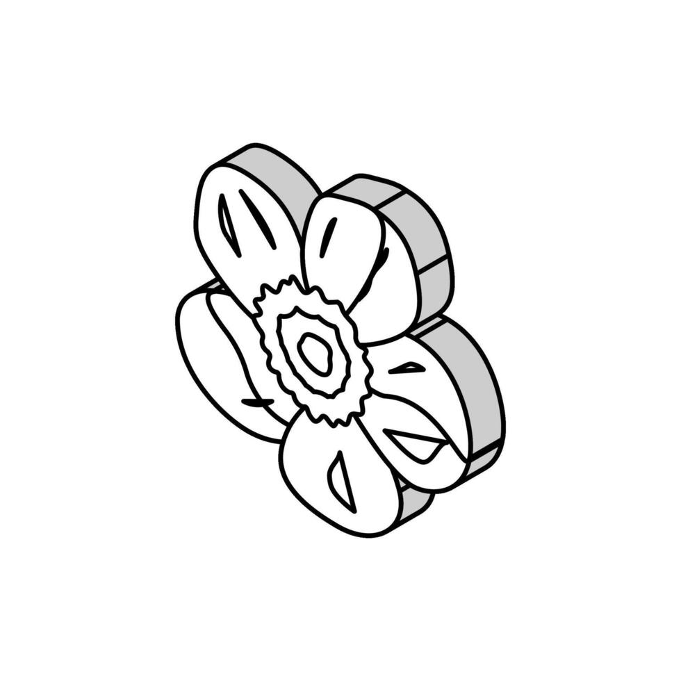 botão de ouro Flor Primavera isométrico ícone vetor ilustração