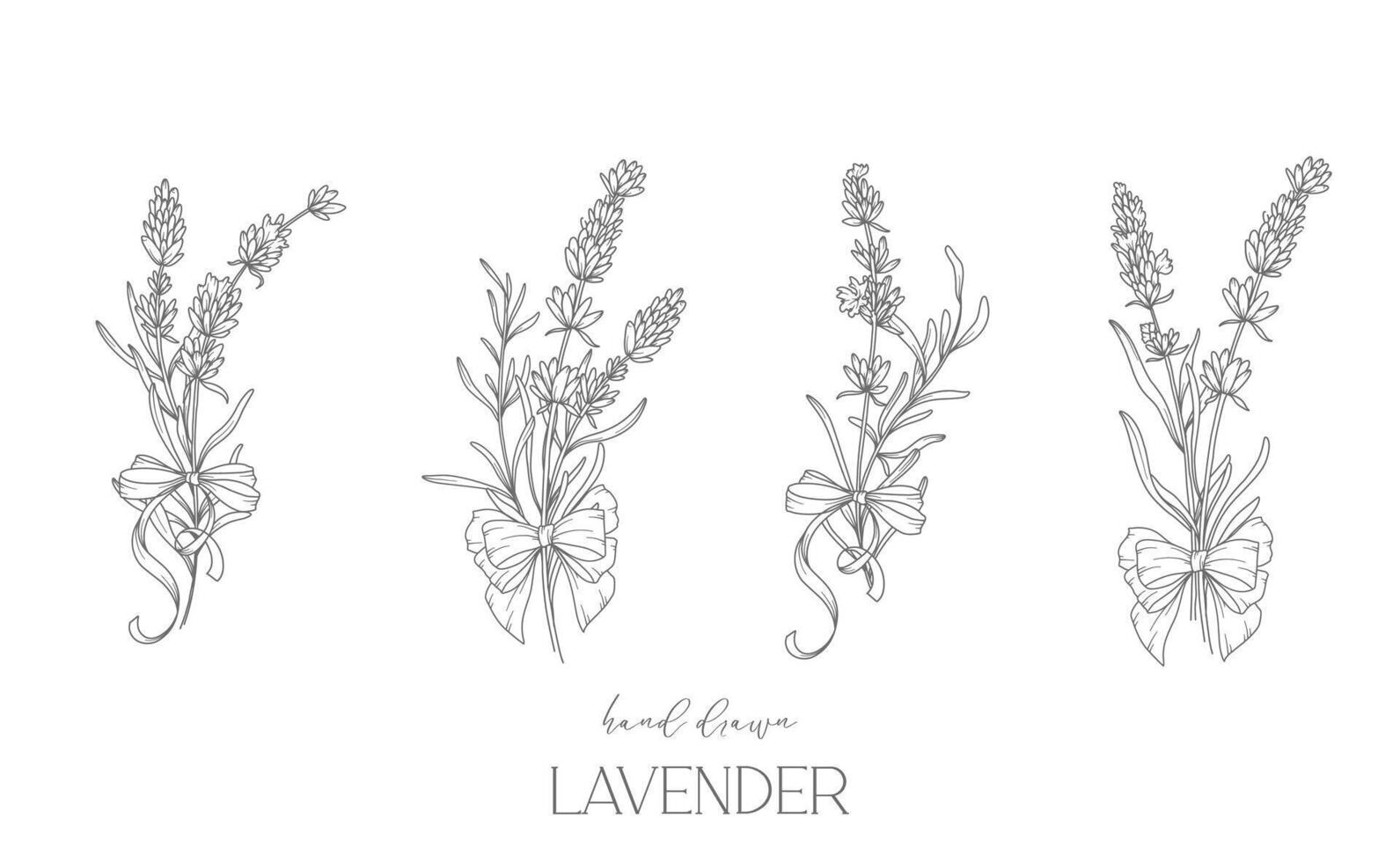 lavanda linha desenho. Preto e branco floral buquês. flor coloração página. floral linha arte. bem linha lavanda ilustração. mão desenhado flores botânico coloração. Casamento convite flores vetor