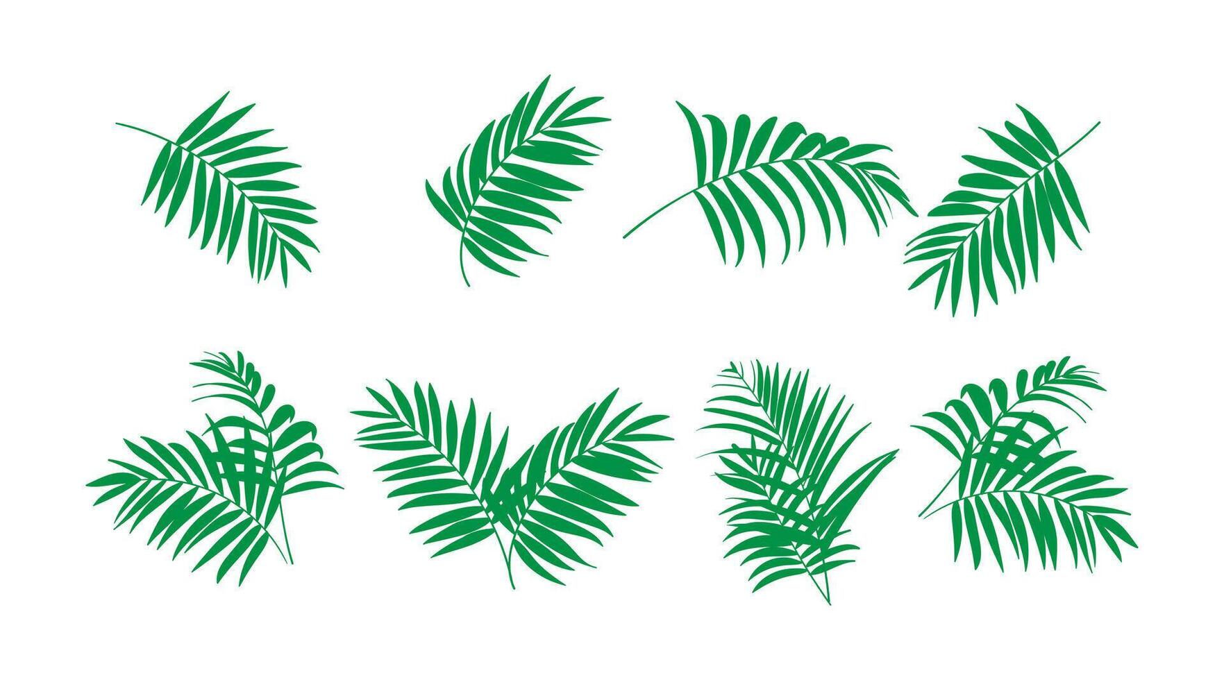 vetor coleção do ilustrações do tropical folhagem folhas