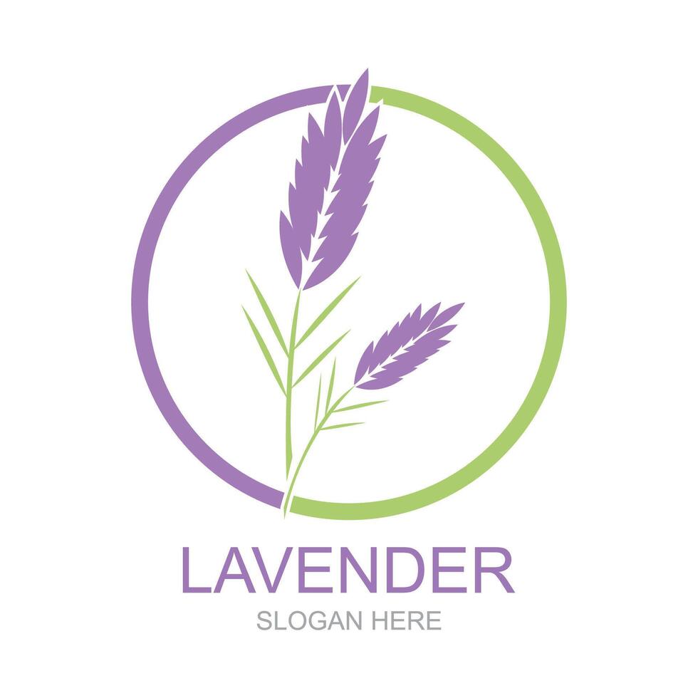 lavanda logotipo modelo vetor símbolo natureza