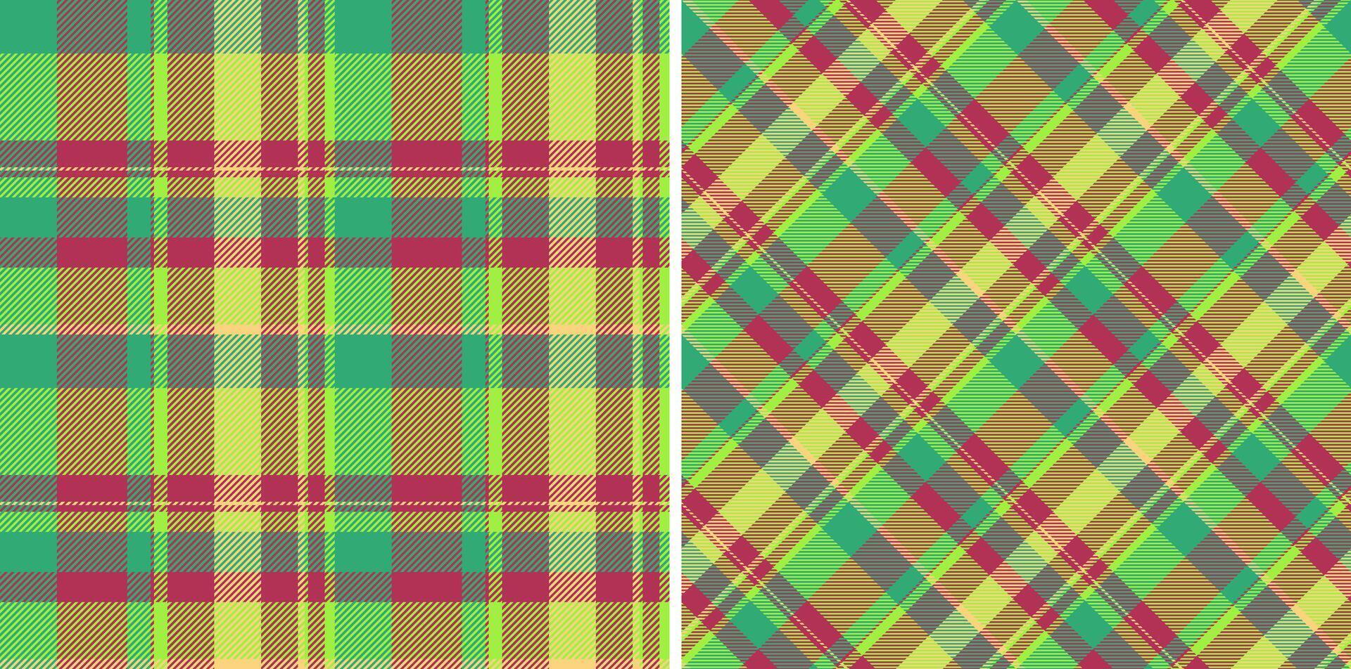 Verifica tecido padronizar do têxtil desatado textura com uma xadrez fundo vetor tartan. conjunto dentro Comida cores para búfalo moda dentro rústico olhar.