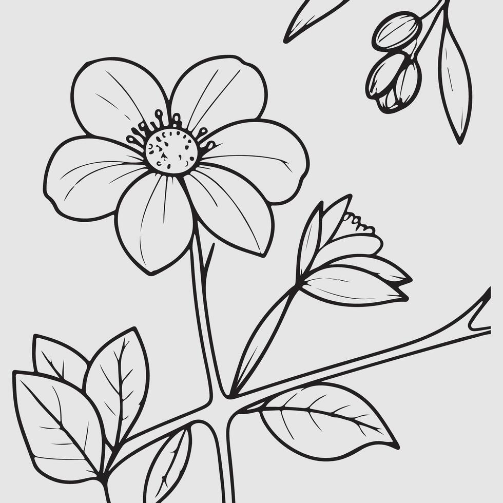 simples desenhando linhas do uma realista flor empoleirado em ramo flor vetor