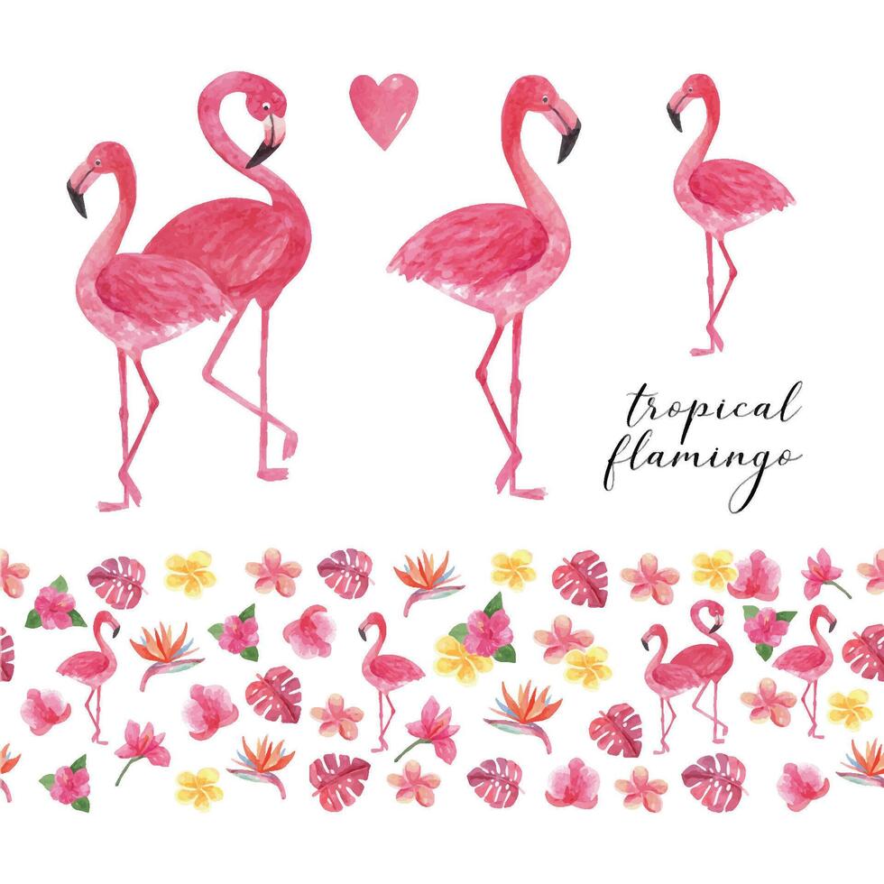 tropical aguarela flamingo. lindo mão desenhado ilustrações vetor