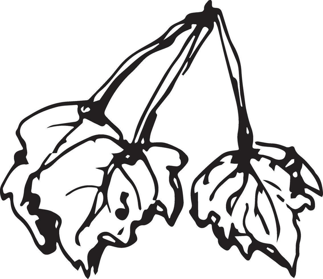 esboço desenhando do uma bétula folha dentro Preto e branco contorno. vintage combinação do bétula folha. vetor