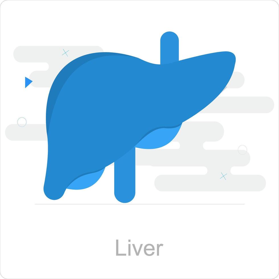 fígado e órgão ícone conceito vetor