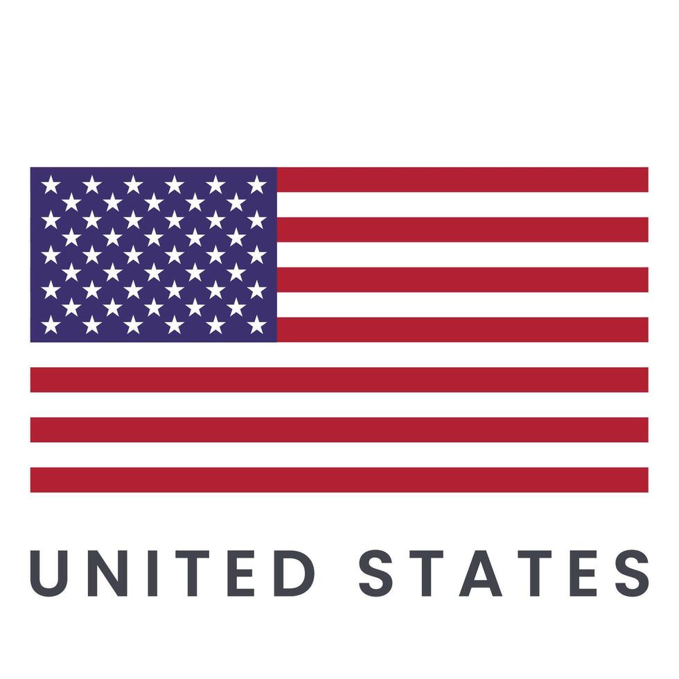 vetor imagem do Unidos estados bandeira isolado em branco fundo.