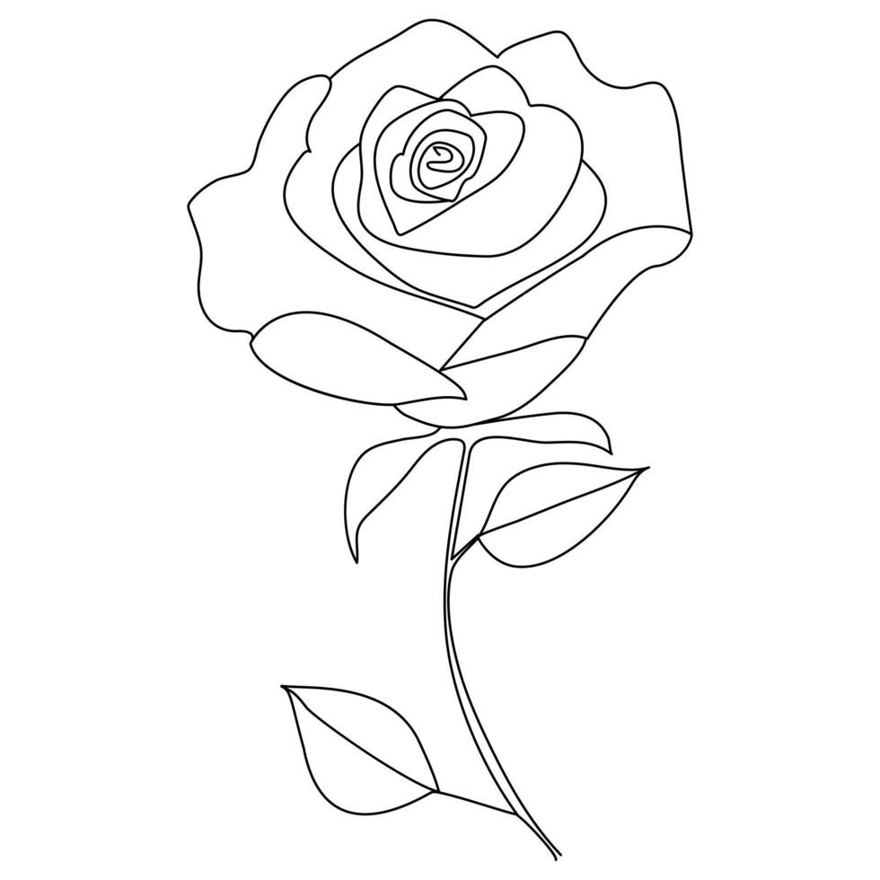 contínuo solteiro 1 linha rosa Projeto mão desenhado desenhando rosas linha arte ilustração vetor