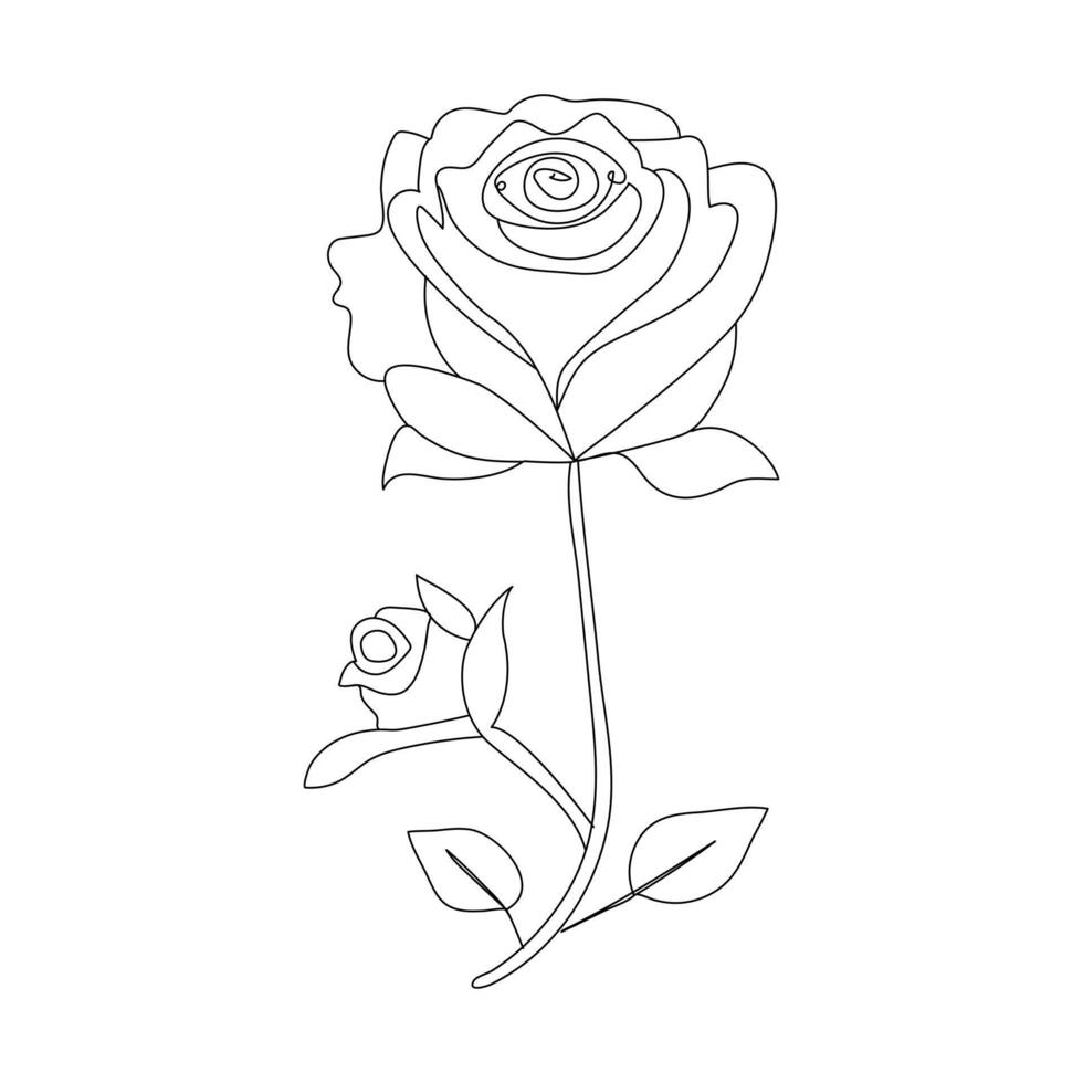 contínuo solteiro 1 linha rosa Projeto mão desenhado desenhando rosas linha arte ilustração vetor