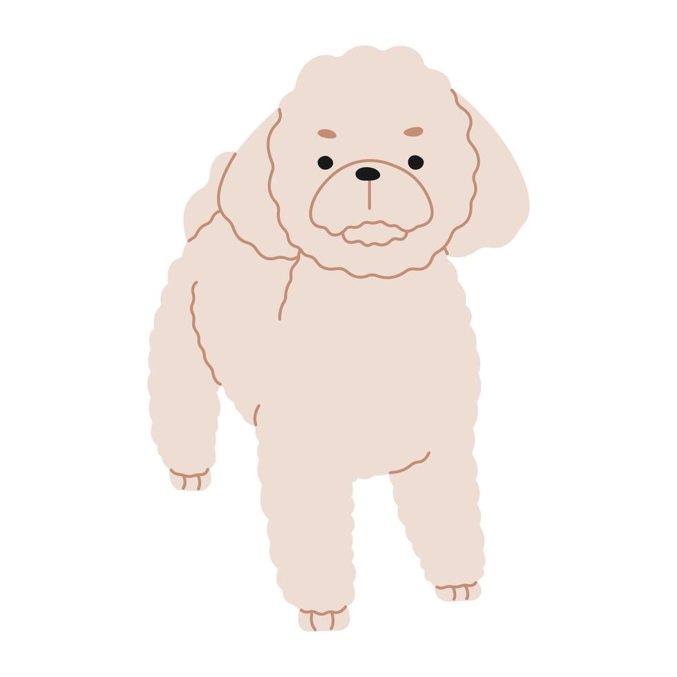 poodle fofa em uma branco fundo, vetor ilustração.