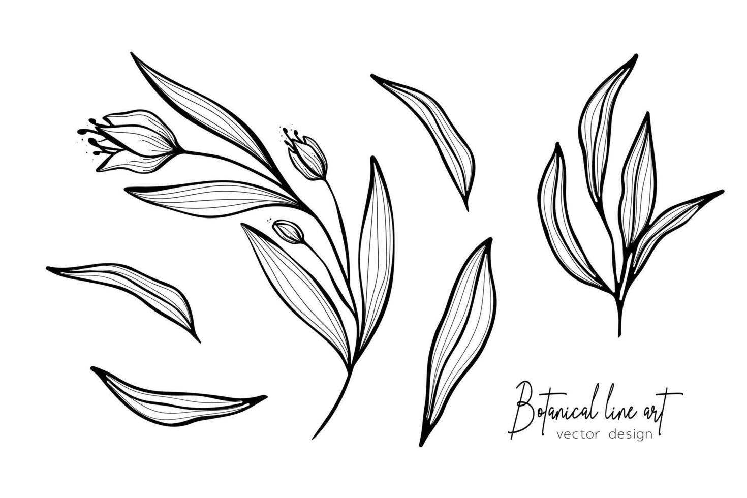 botânico elegante linha arte ilustração do flor folhas ramo para Casamento convite e cartões, logotipo projeto, rede, social meios de comunicação e poster, modelo, anúncio, beleza e Cosmético indústria. vetor