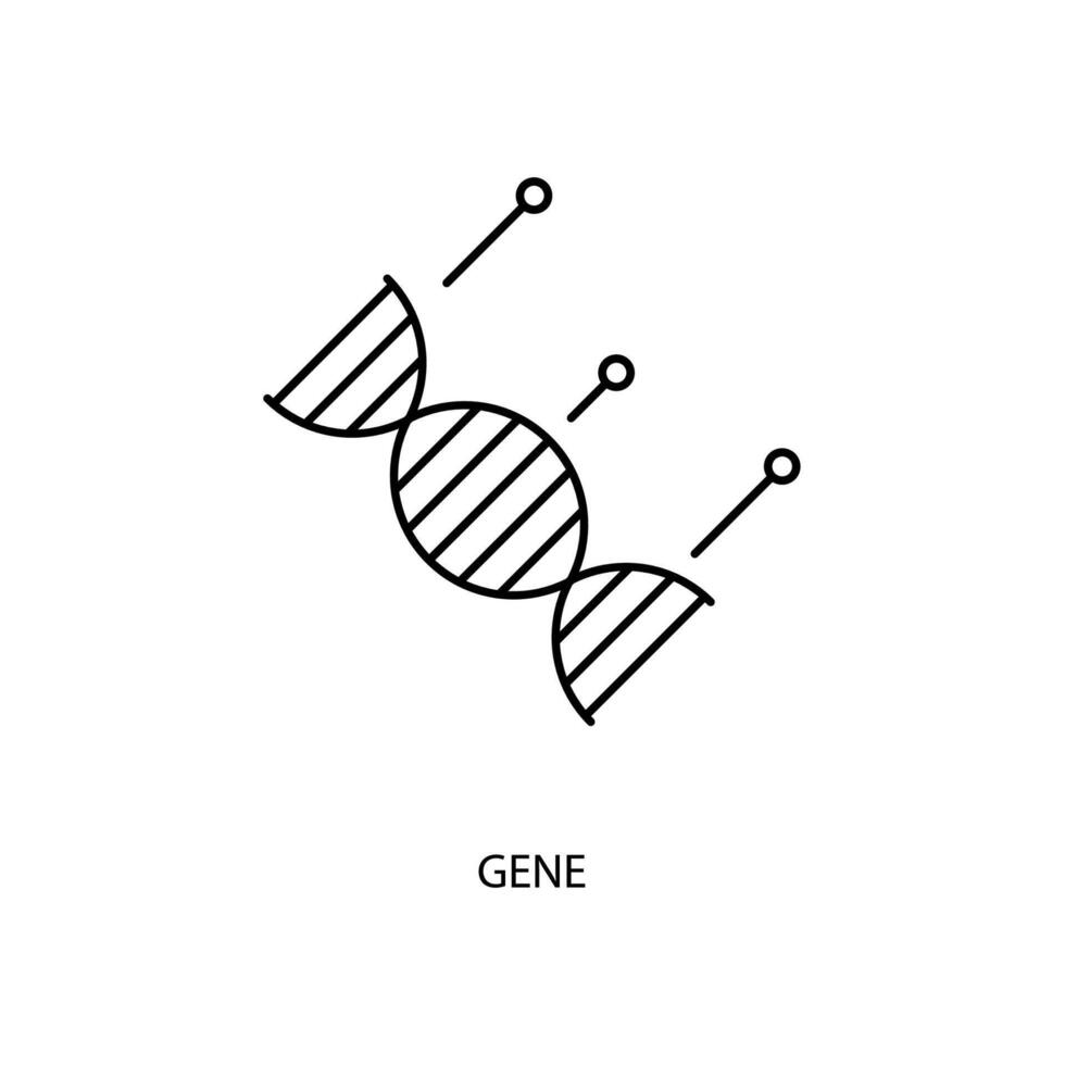 gene conceito linha ícone. simples elemento ilustração. gene conceito esboço símbolo Projeto. vetor