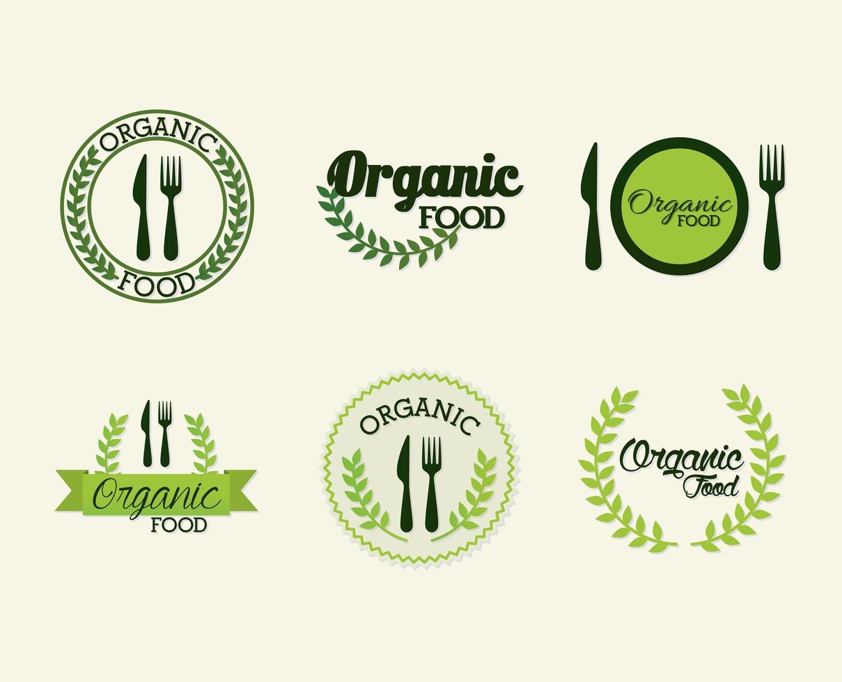 conjunto de letras de alimentos orgânicos em fundo branco vetor