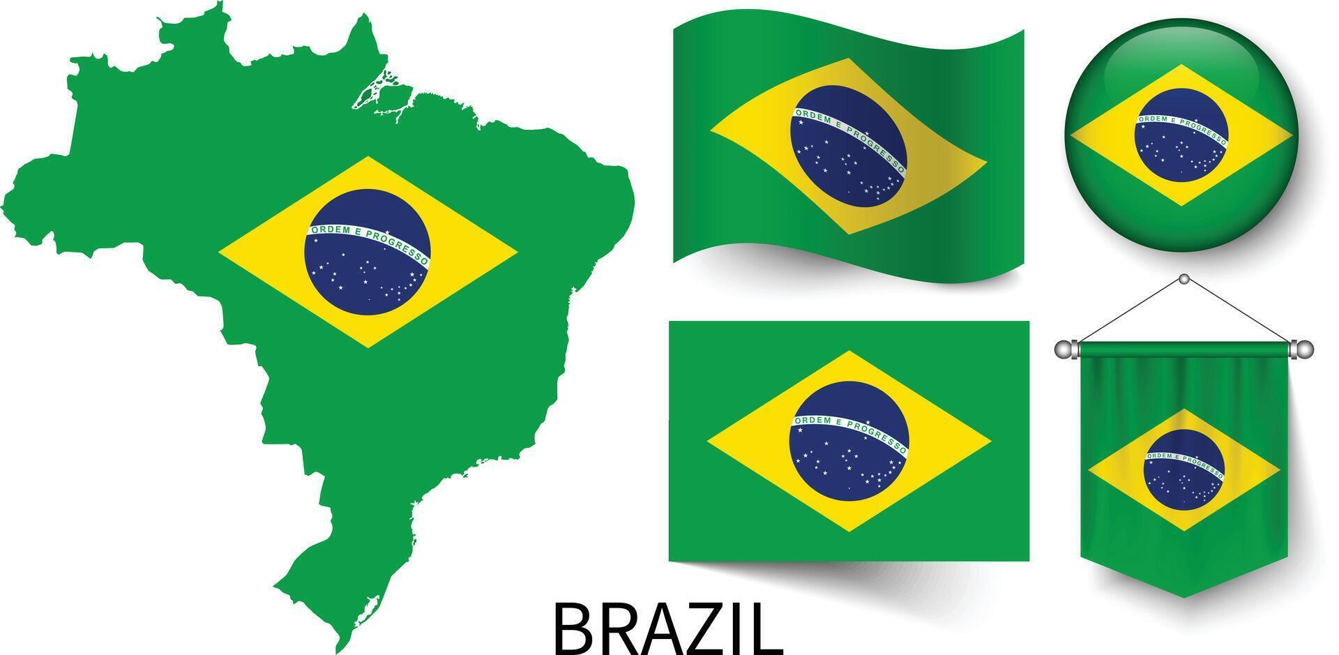 a vários padrões do a Brasil nacional bandeiras e a mapa do do brasil fronteiras vetor