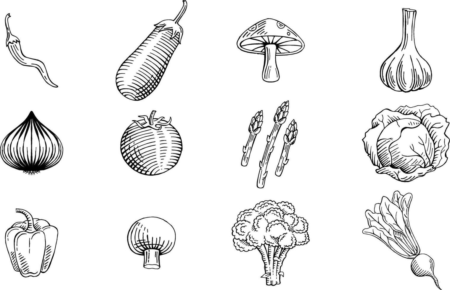 mão desenhado legumes conjunto vetor