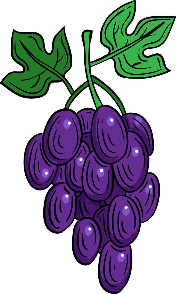 uvas fruta mão desenhado gravado esboço desenhando vetor