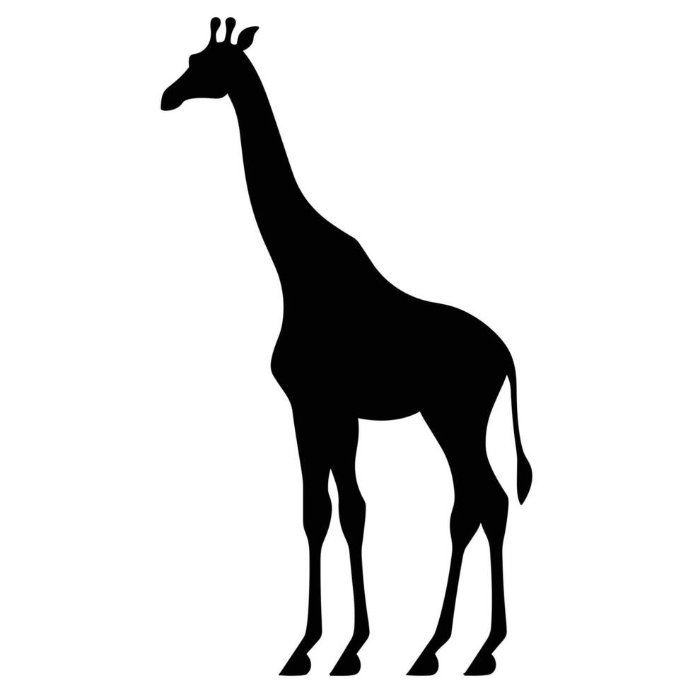 girafa Preto silhueta vetor, branco fundo. vetor