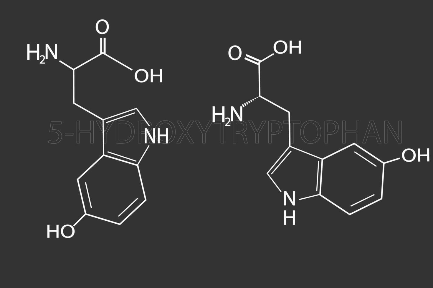 hidroxitriptofano molecular esquelético químico Fórmula vetor