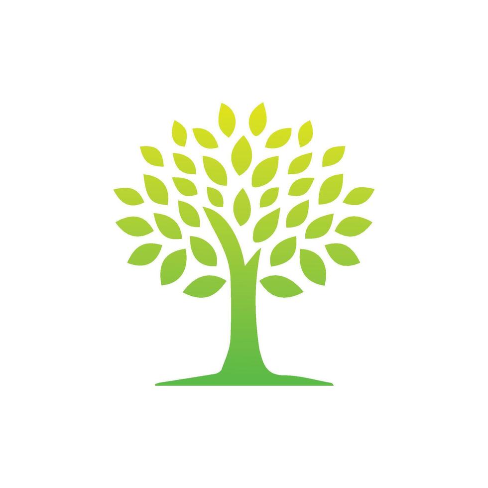 árvore ícone conceito do uma estilizado árvore com folhas, vetor ilustração