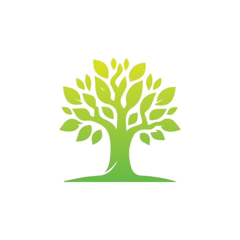 árvore ícone conceito do uma estilizado árvore com folhas, vetor ilustração