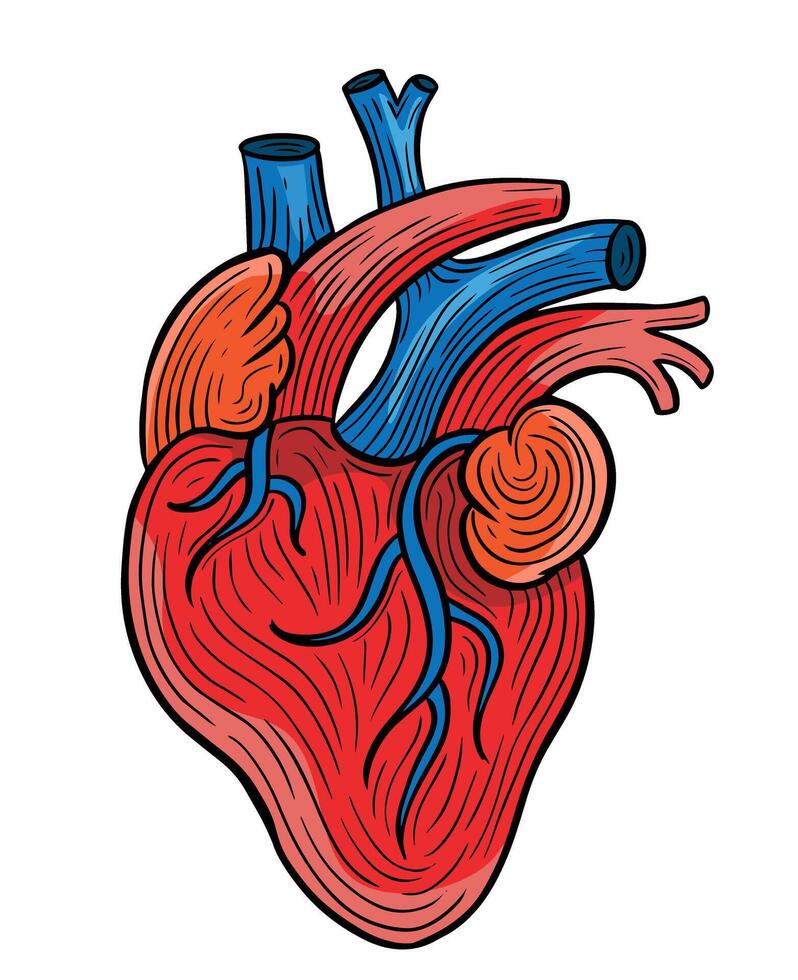 humano coração mão desenhado gravado esboço desenhando vetor