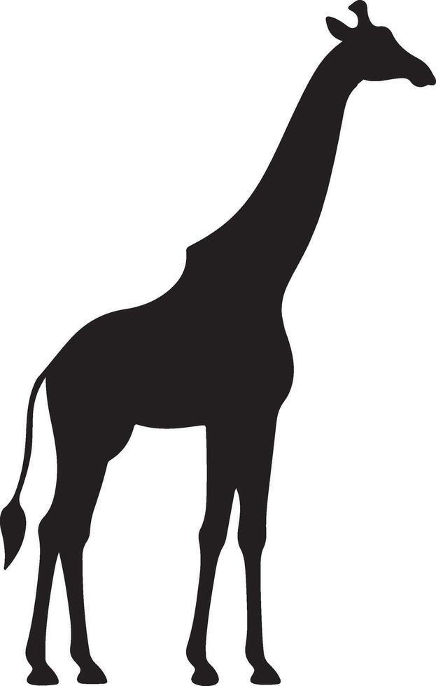 girafa silhueta vetor ilustração branco fundo