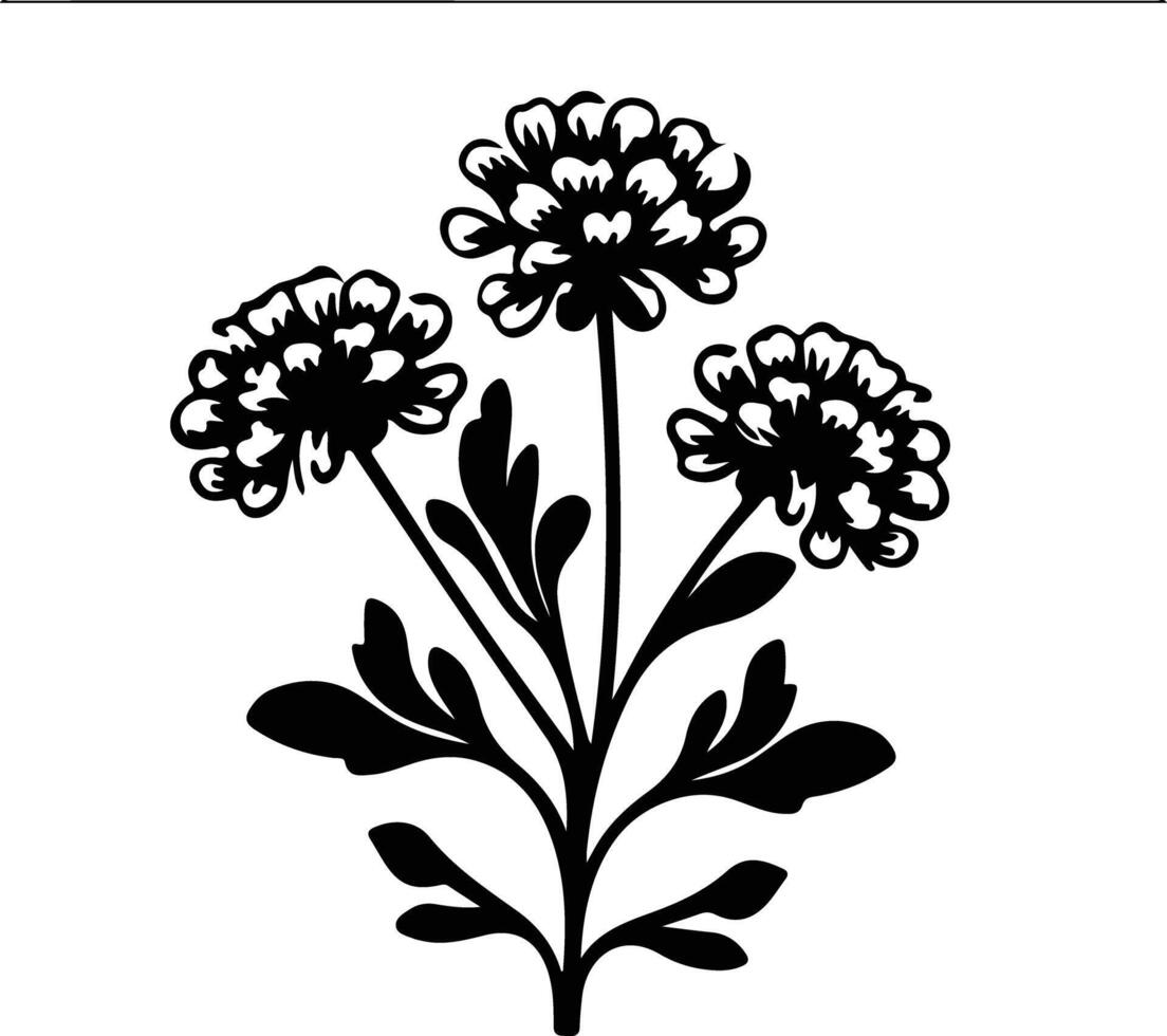 ai gerado candytuft Preto silhueta vetor