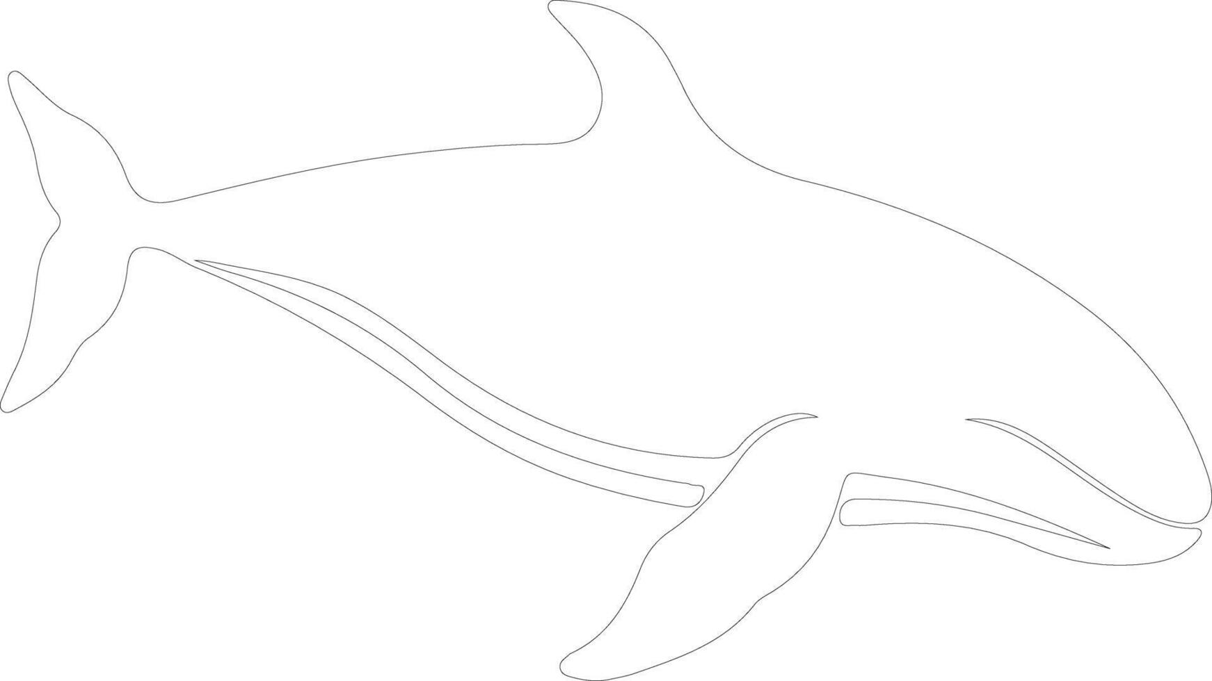 ai gerado norte certo baleia esboço silhueta vetor