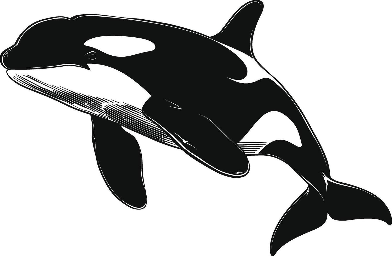 ai gerado silhueta a orca ou assassino baleia Preto cor só vetor