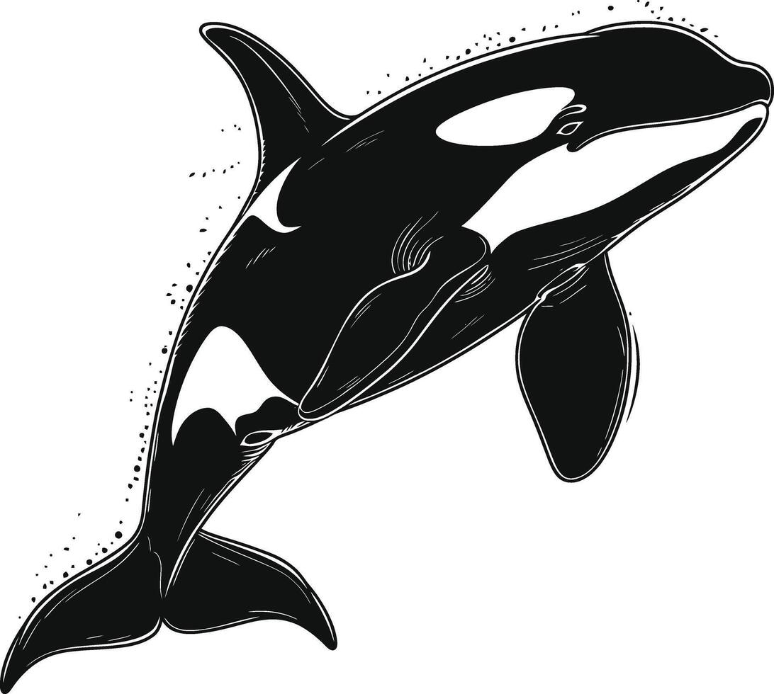 ai gerado silhueta a orca ou assassino baleia Preto cor só vetor