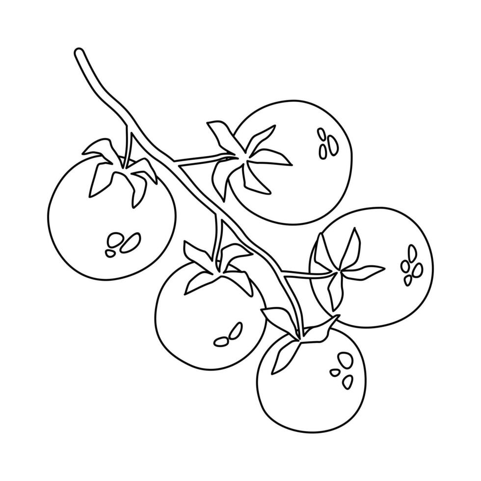 rabisco ramo do cereja tomates. pode estar usava para cardápio, embalagem, têxtil, agricultores mercado. vetor ilustração isolado em branco fundo.