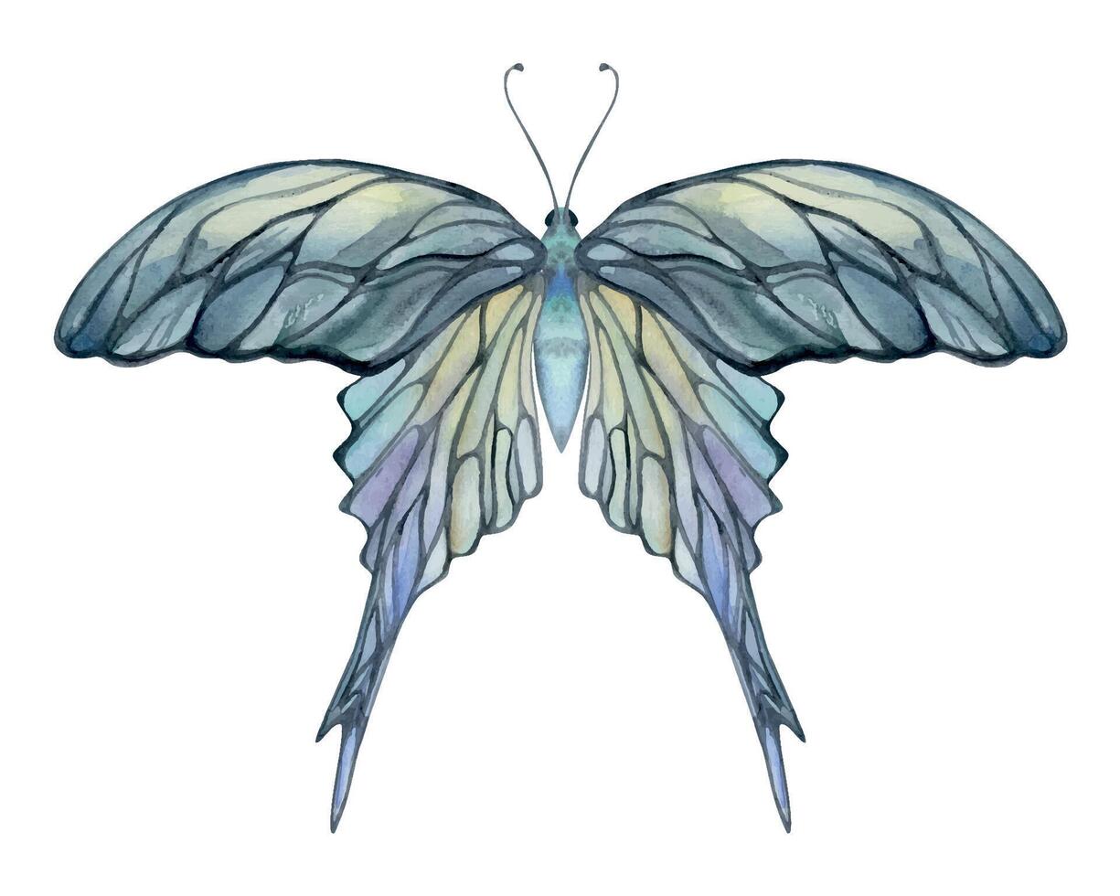 mão desenhado aguarela ilustração borboleta fada asas gema cristal inseto mariposa. opala Moonstone pérola labradorita. conjunto do objetos isolado em branco fundo. Projeto imprimir, comprar, casamento, aniversário vetor