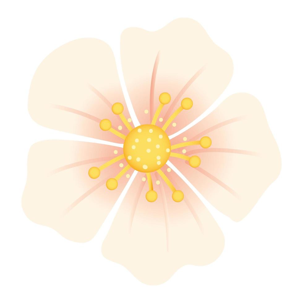 flor de sakura decorativa vetor
