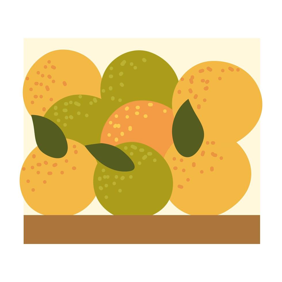 laranjas frutas orgânicas vetor