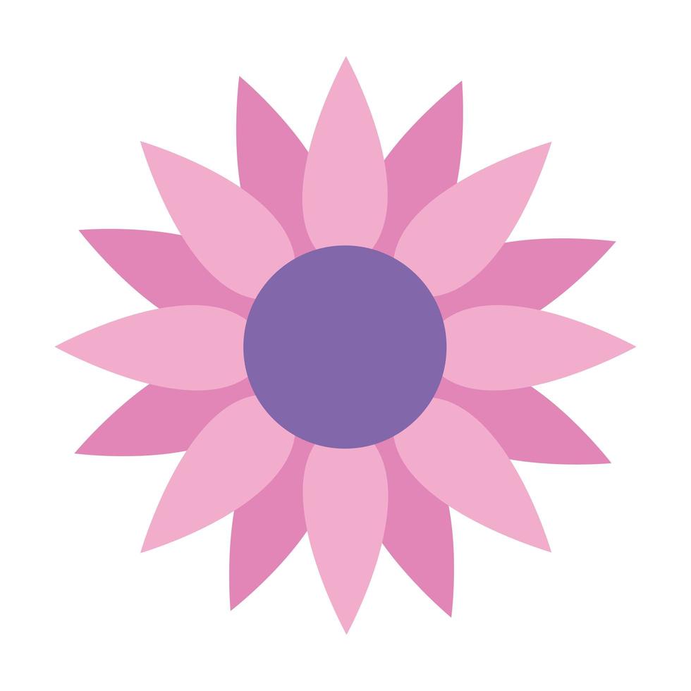 ícone de girassol rosa em fundo branco vetor