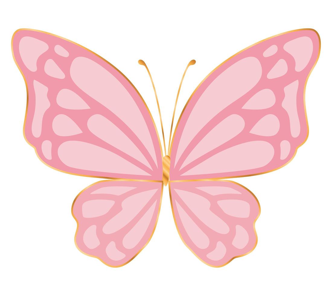 desenho de vetor de borboleta rosa fofa