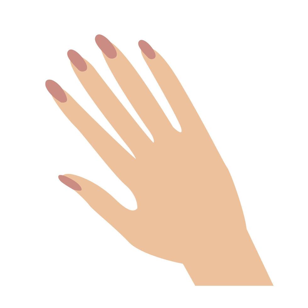 fêmea mão com manicure elegante unha vetor ilustração