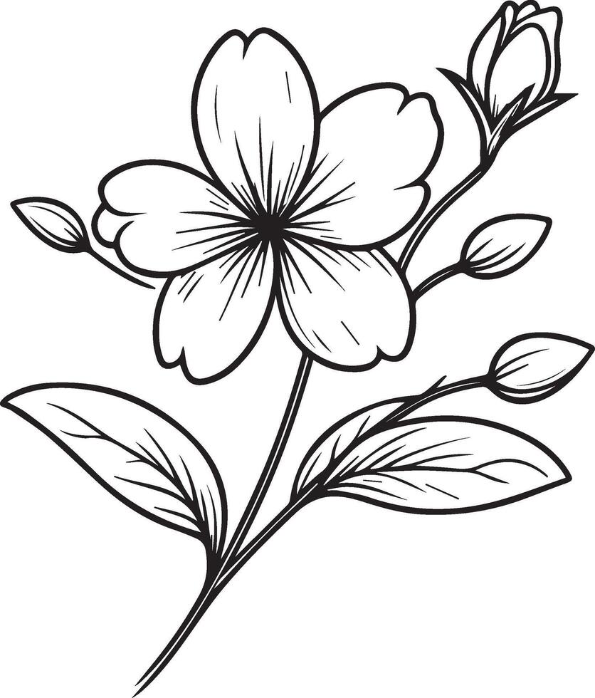 jasmim flor coloração livro, mão desenhado botânico Primavera elementos ramalhete do jasmim flor linha arte, coloração página, vetor esboço, artístico simplicidade rabisco arte, fácil branco jasmim flor
