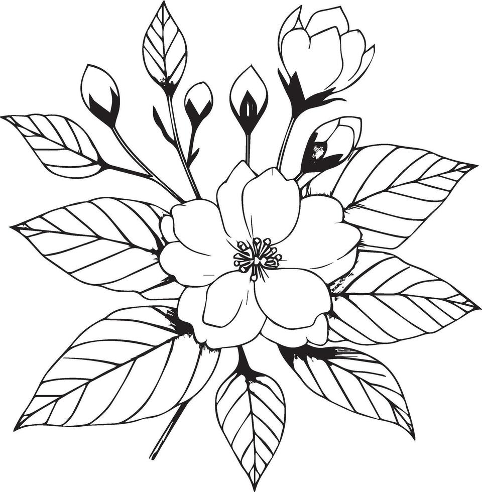 minimalista esboço jasmim flor tatuagem, Preto e branco jasmim flor desenho, desenhando botânico jasmim flor, científico jasmim botânico ilustração, Estrela jasmim flor botânico linha arte vetor