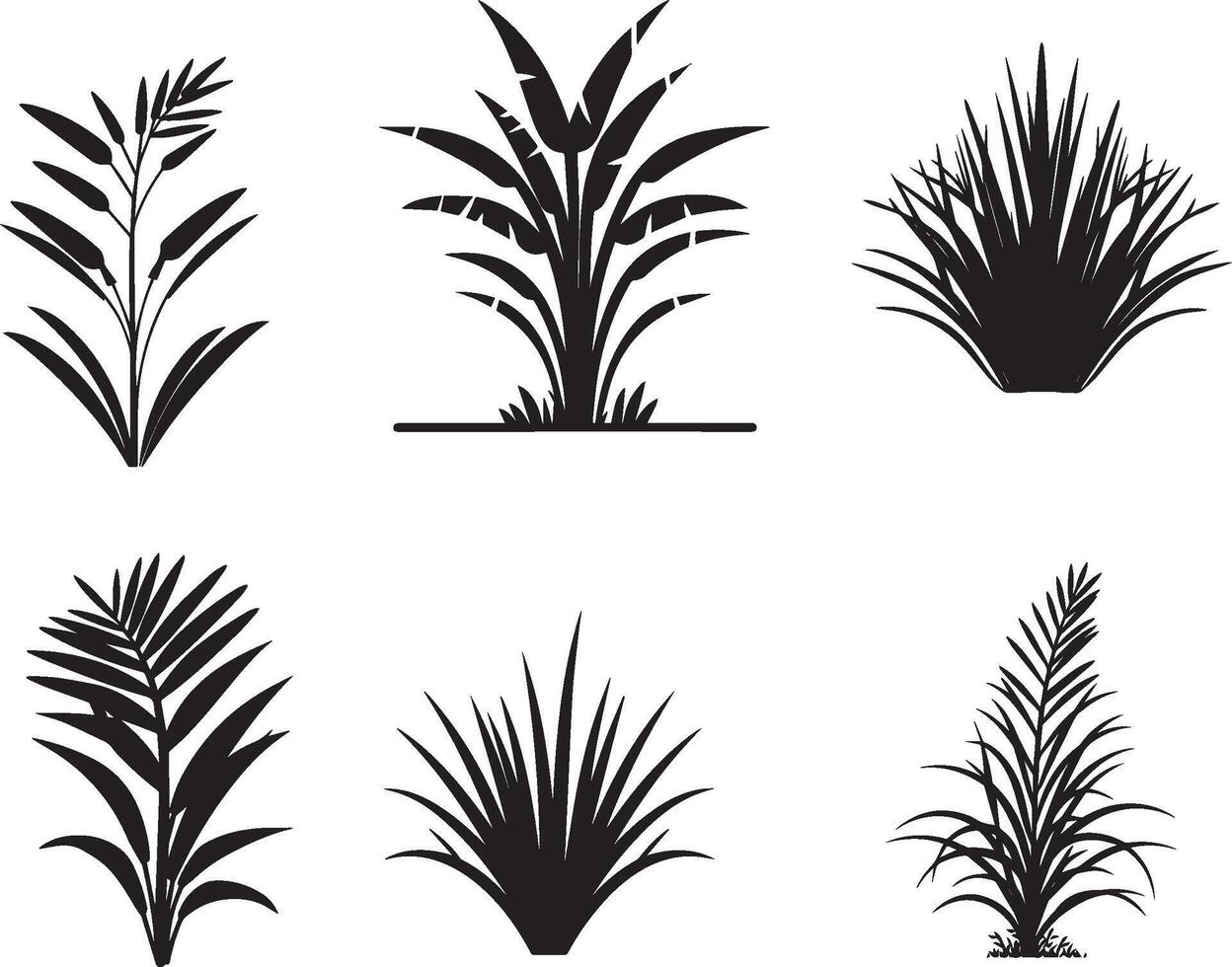 conjunto do tropical plantar e Relva dentro silhueta vetor. em isolado branco fundo vetor