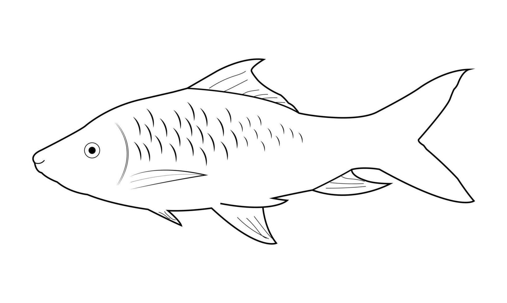 peixe vetor ilustração. mar animal coloração livro ou página para crianças