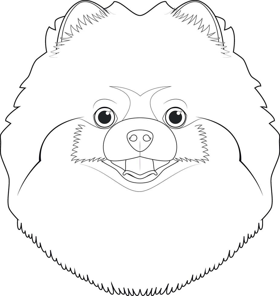 pomerânia ou spitz cachorro fácil coloração desenho animado vetor ilustração. isolado em branco fundo