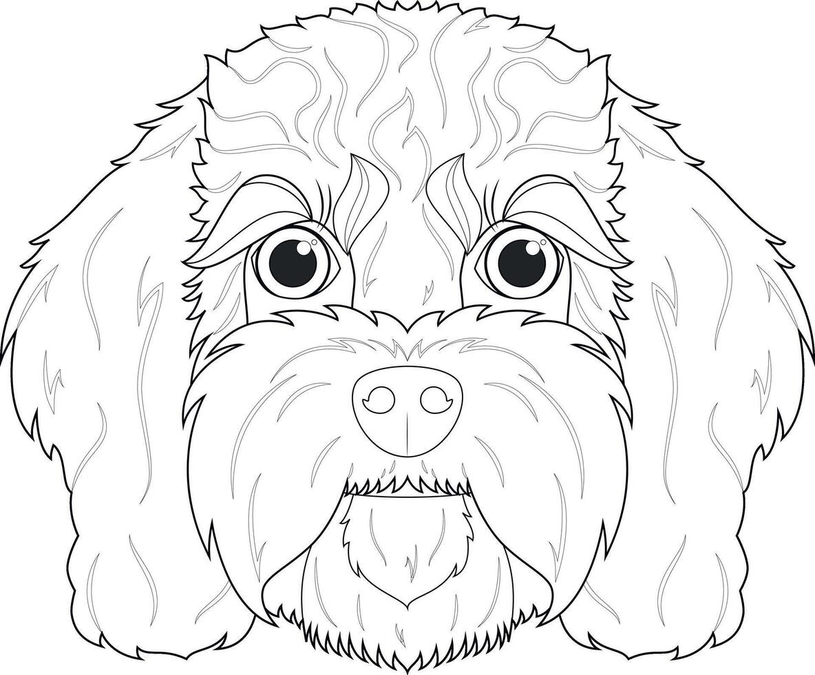 cavoodle cachorro fácil coloração desenho animado vetor ilustração. isolado em branco fundo