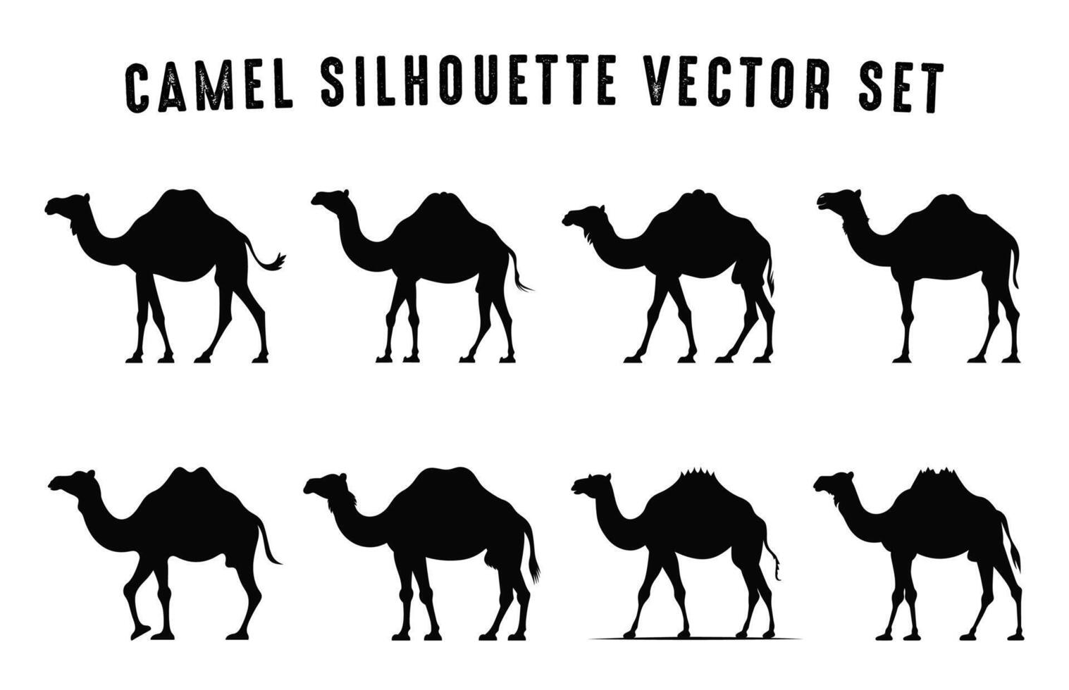 camelos silhuetas clipart definir, camelo silhueta Preto vetor agrupar