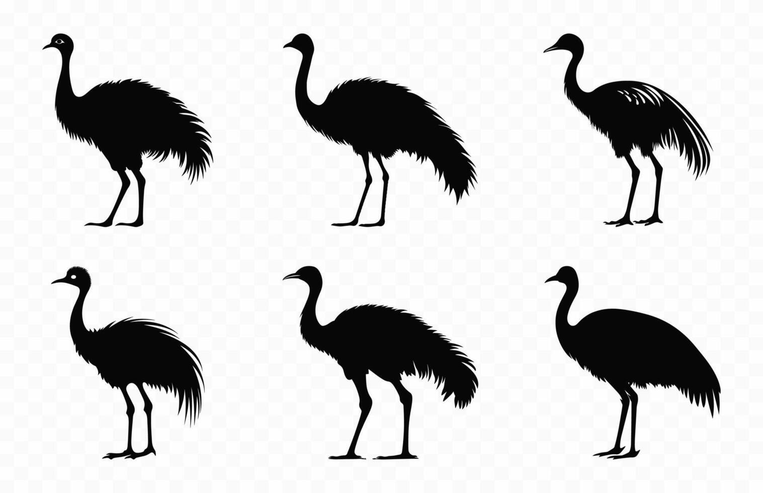 emu silhuetas vetor pacote, avestruz emu silhueta definir, australiano emu pássaro Preto clipart coleção