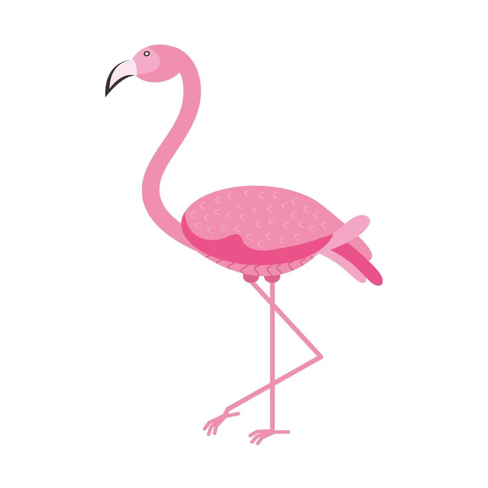 pássaro flamingo rosa vetor