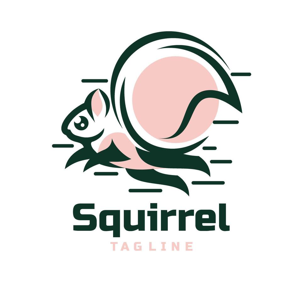esquilo animais personagem mascote logotipo vetor
