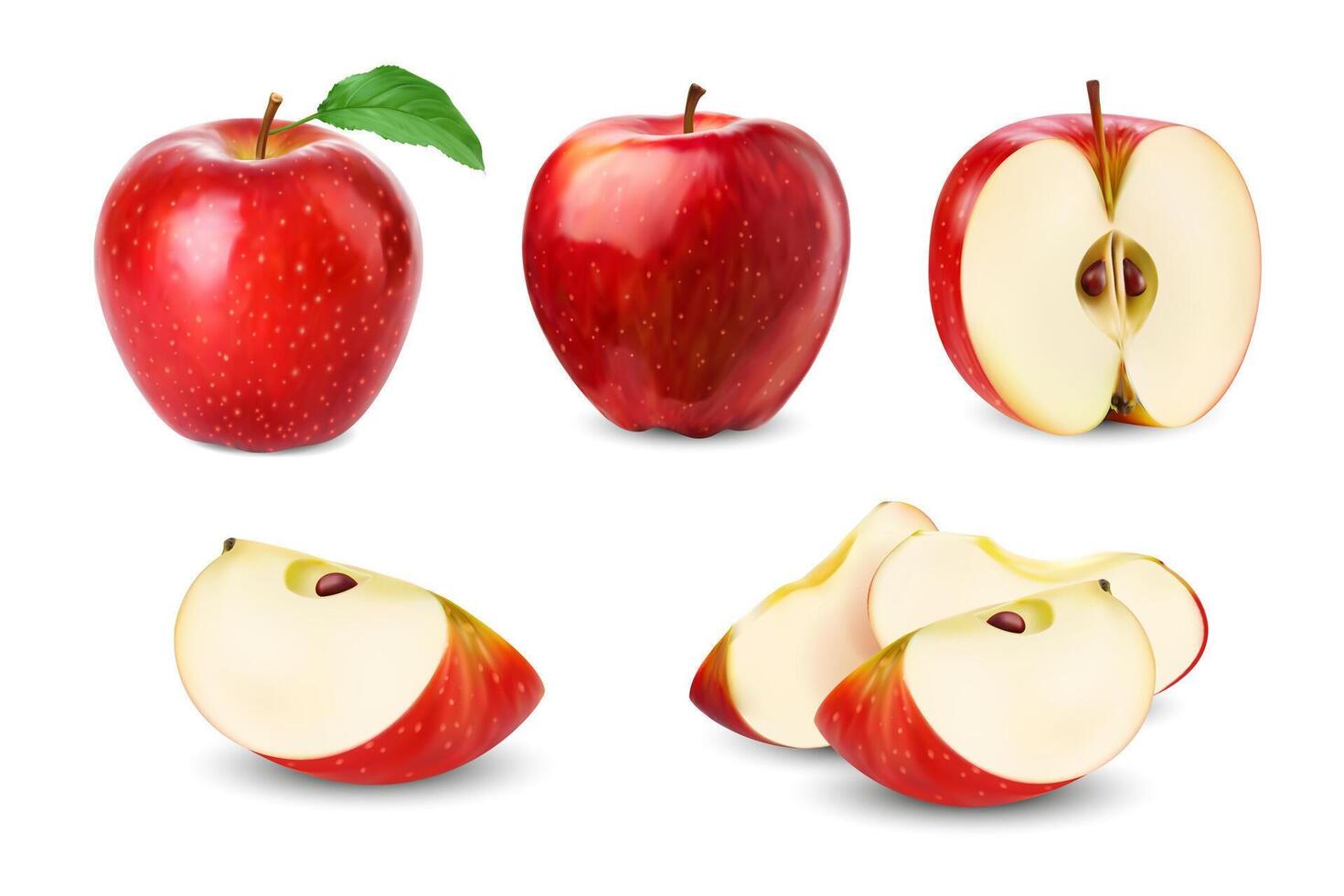 realista vermelho maçã todo fruta, fatia e metade vetor