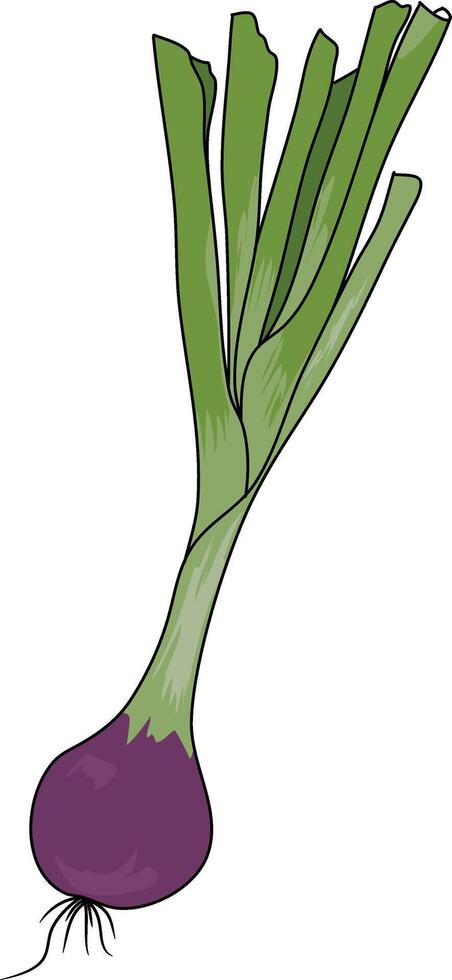 vetor alho-poró vegetal ilustração