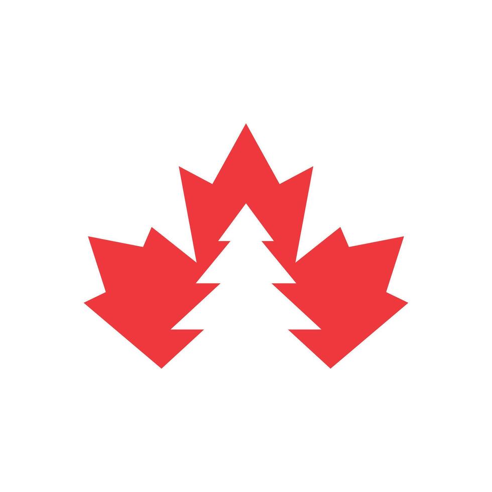 pinho árvore canadense bordo ícone vetor logotipo modelo