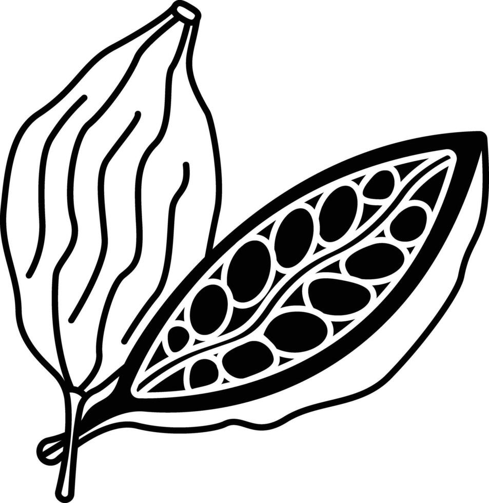 cardamomo glifo e linha vetor ilustração